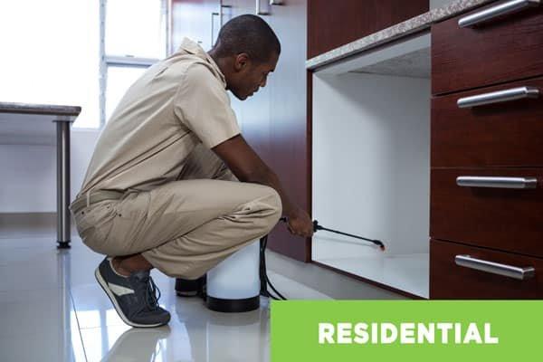 Images Nextgen Pest Solutions