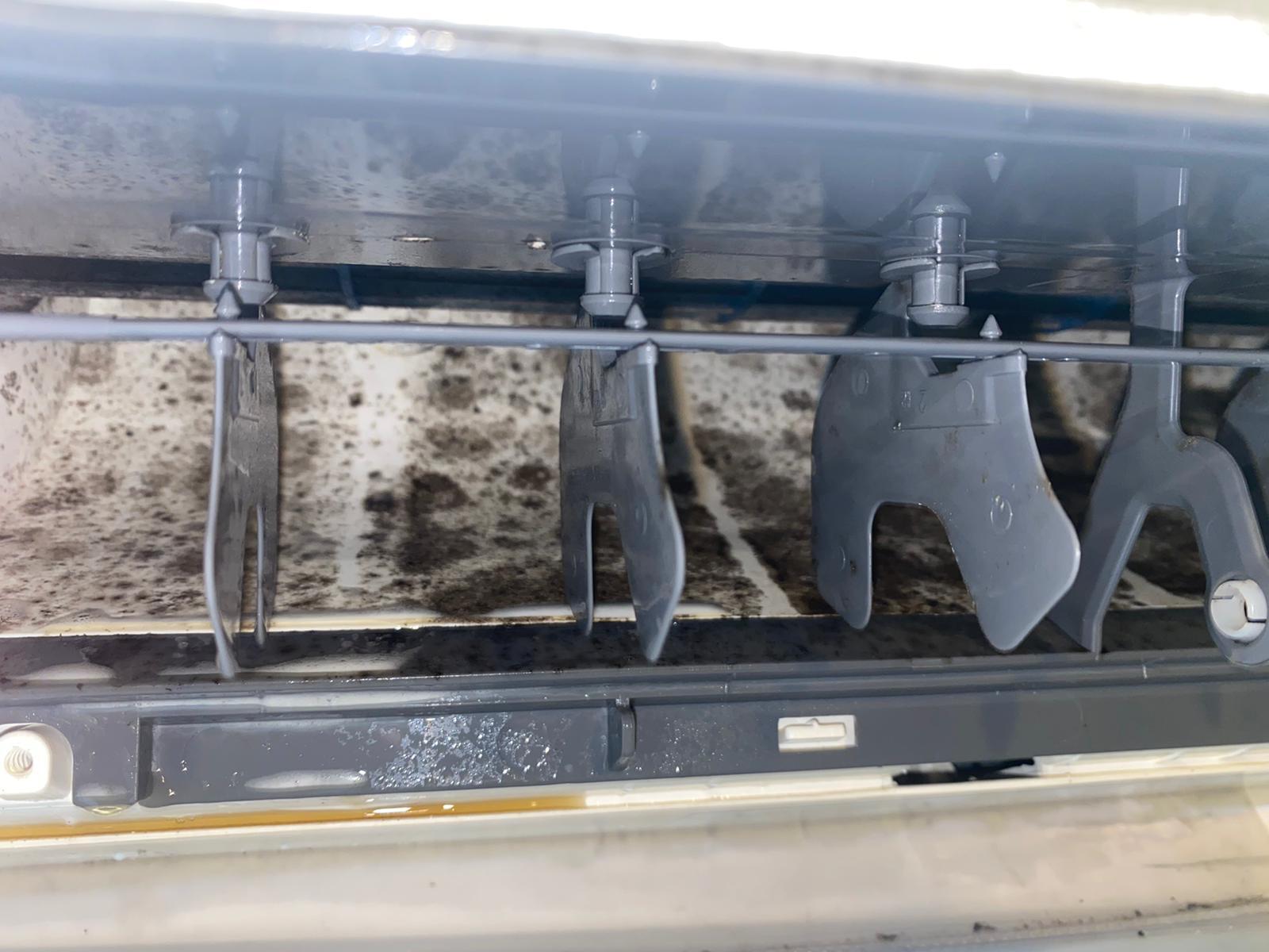 Images MouldMen - Mould Gone