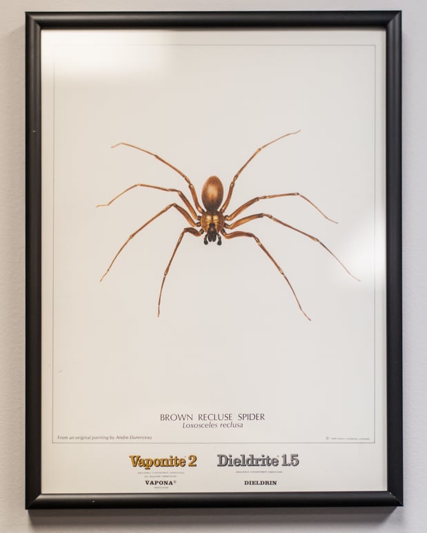 Images Massey Services Pest Control