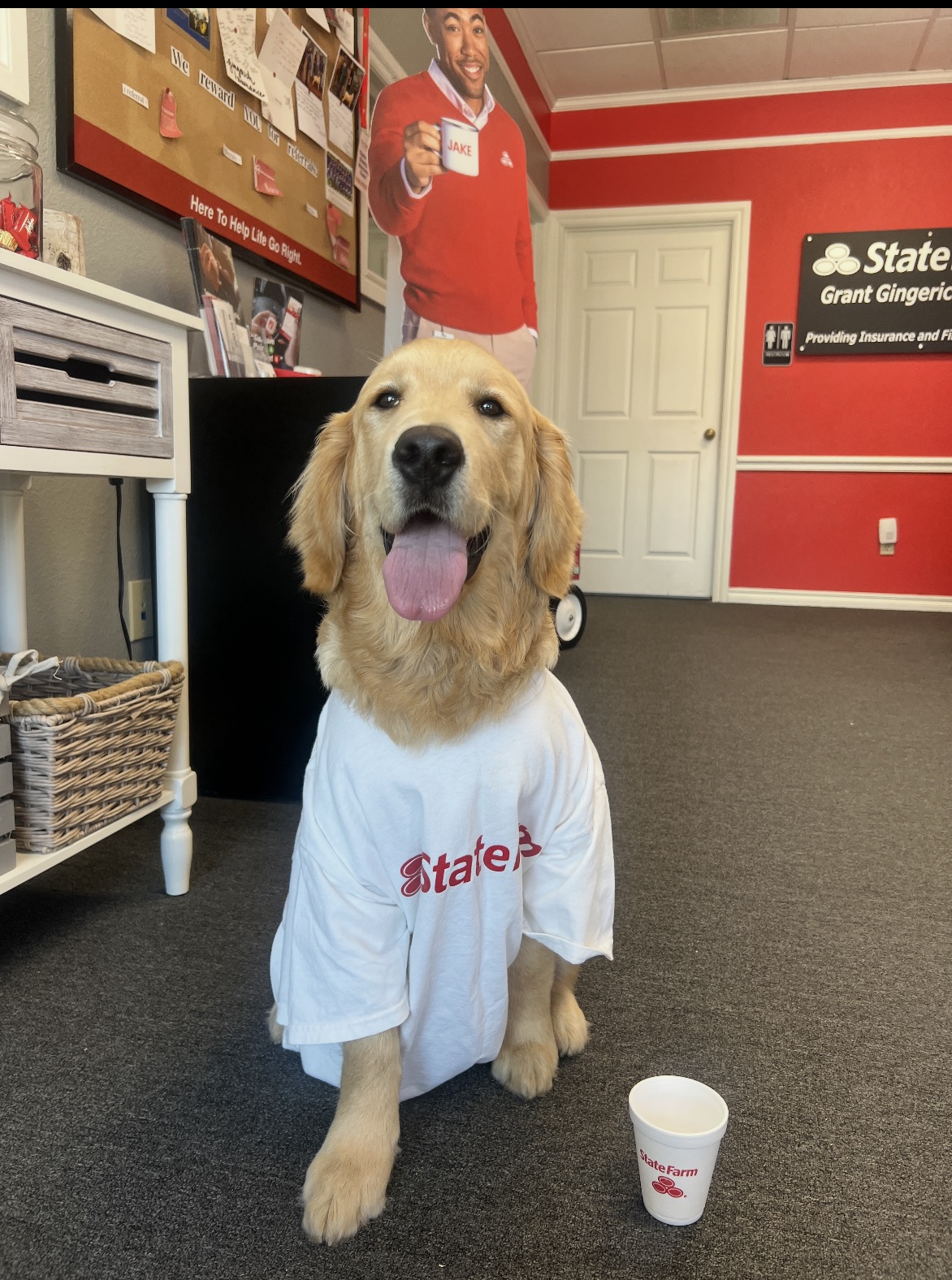 Bring your dog to the office day!