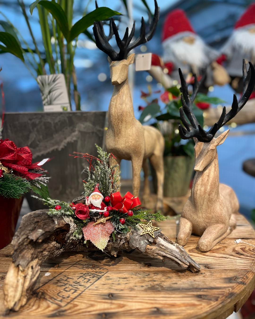 Images Frudalen Hagesenter AS