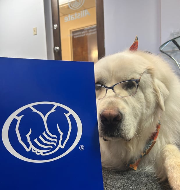 Images ANDREW MCCAULEY: Allstate Insurance