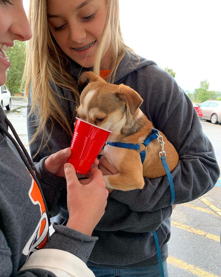 Family Vet Care Center Photo