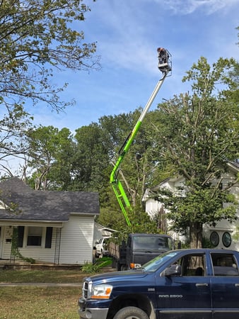 Images Busy Boy Tree Services