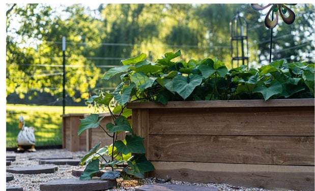 Images Edible Gardens Inc