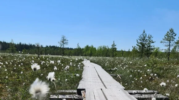 Images Forssan Matkatoimisto Oy