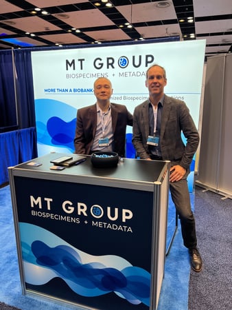 Images MT Group