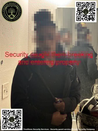 Images TreeStone Security Services