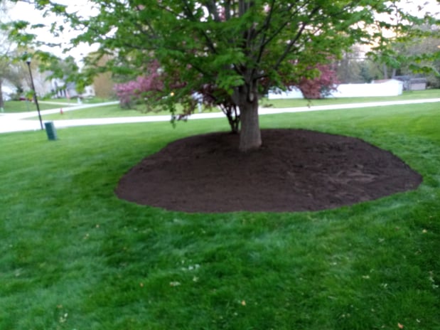 Images MRK Landscaping & Snowplowing