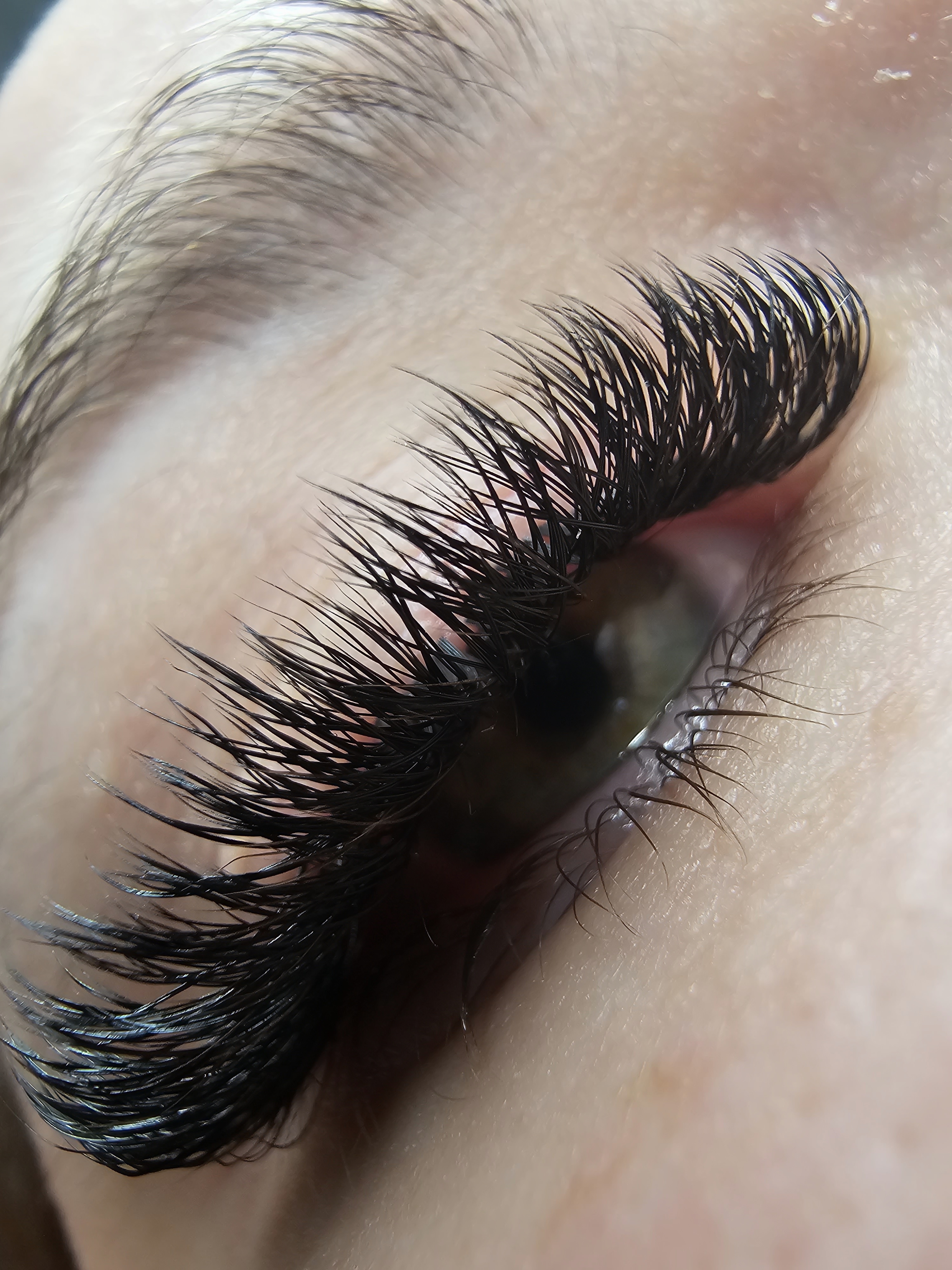 Images Lashista - Formation cils - Pose de cils - Produits de cils Longueuil