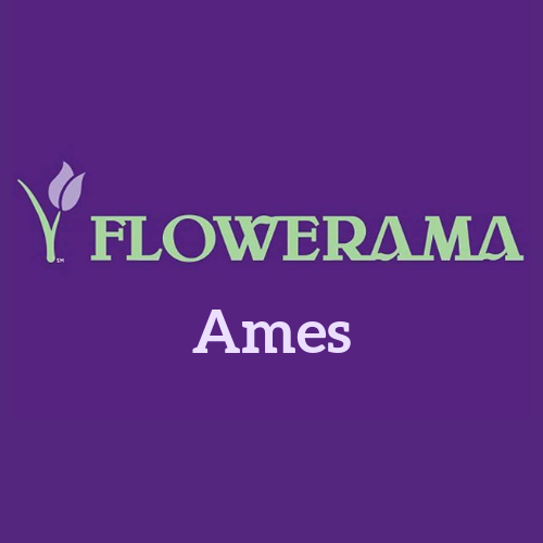 Flowerama Ames - Ames, IA 50010 - (515)232-2939 | ShowMeLocal.com