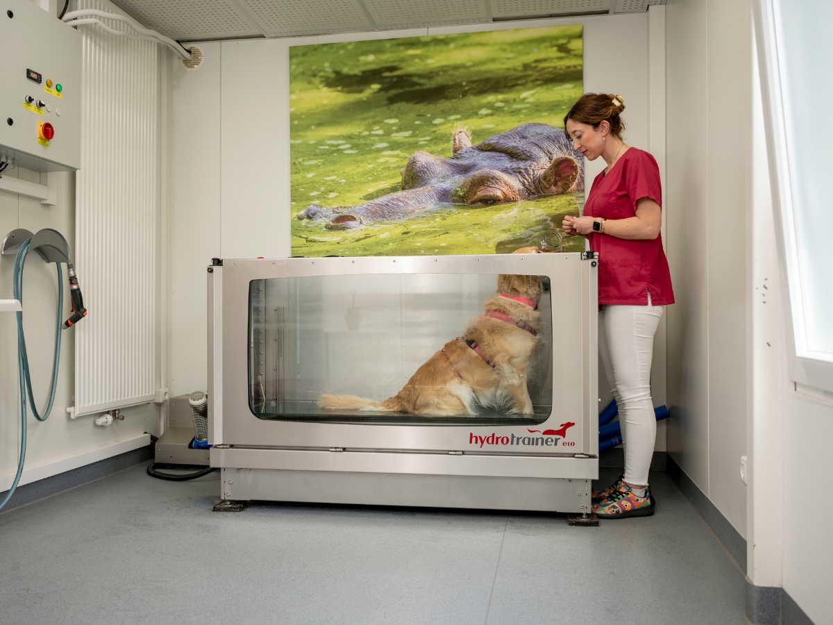 Bilder Tierarzt Limeshain, Kleintierzentrum Kilb&Team