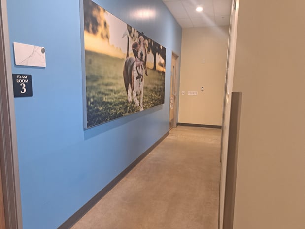 Images Vetco Total Care Animal Hospital