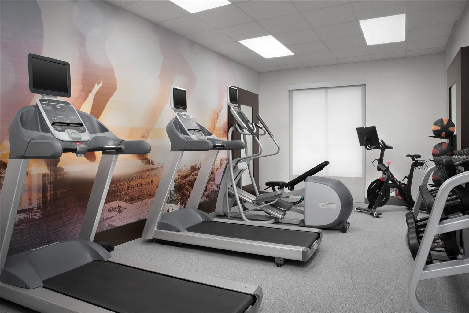 Health club  fitness center  gym