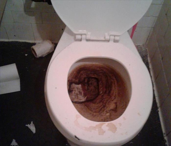Toilet Backup in Edgewater, NJ