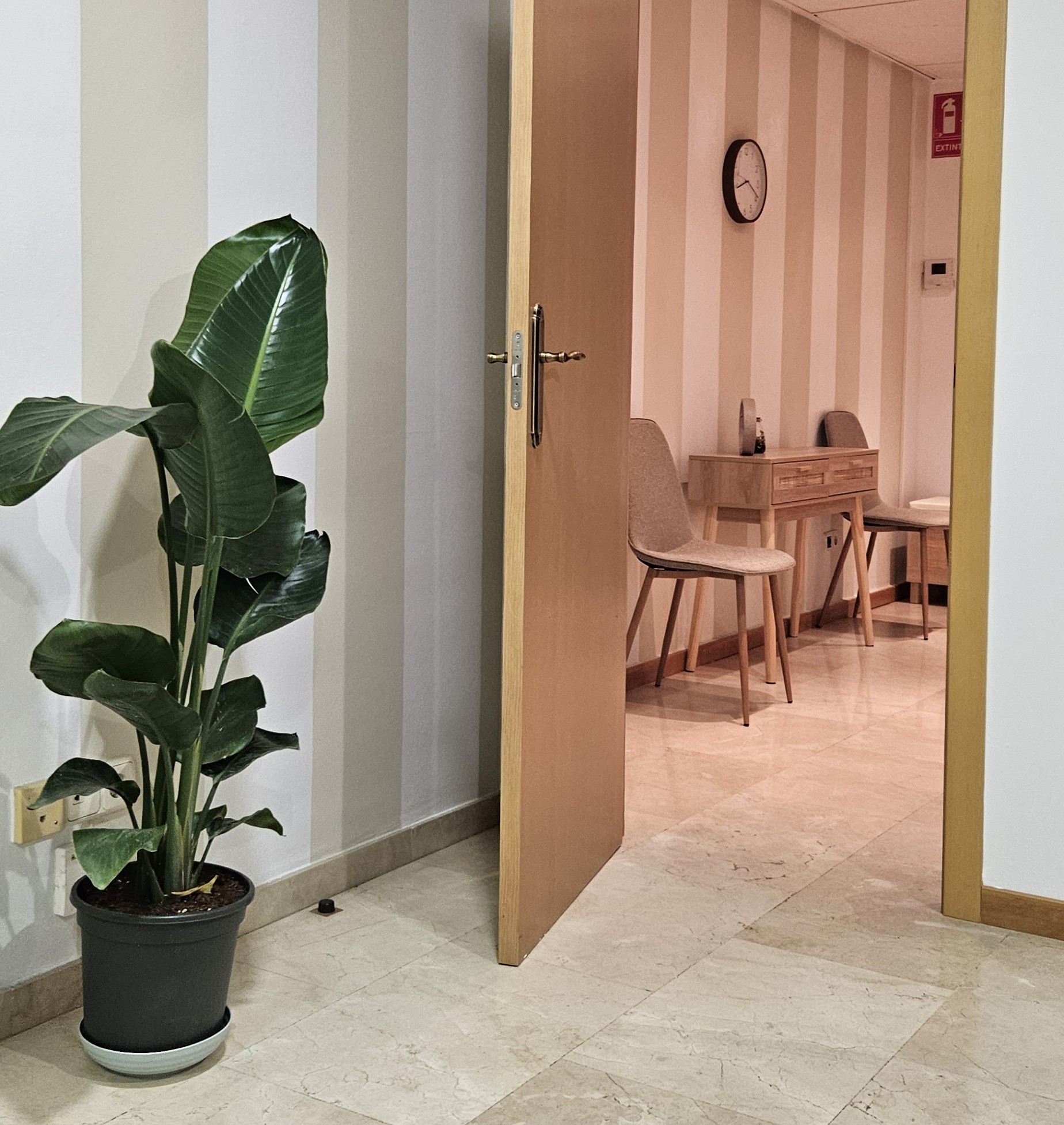 Images Sandra Martínez Baños - Psicoterapia y Psicóloga en Logroño