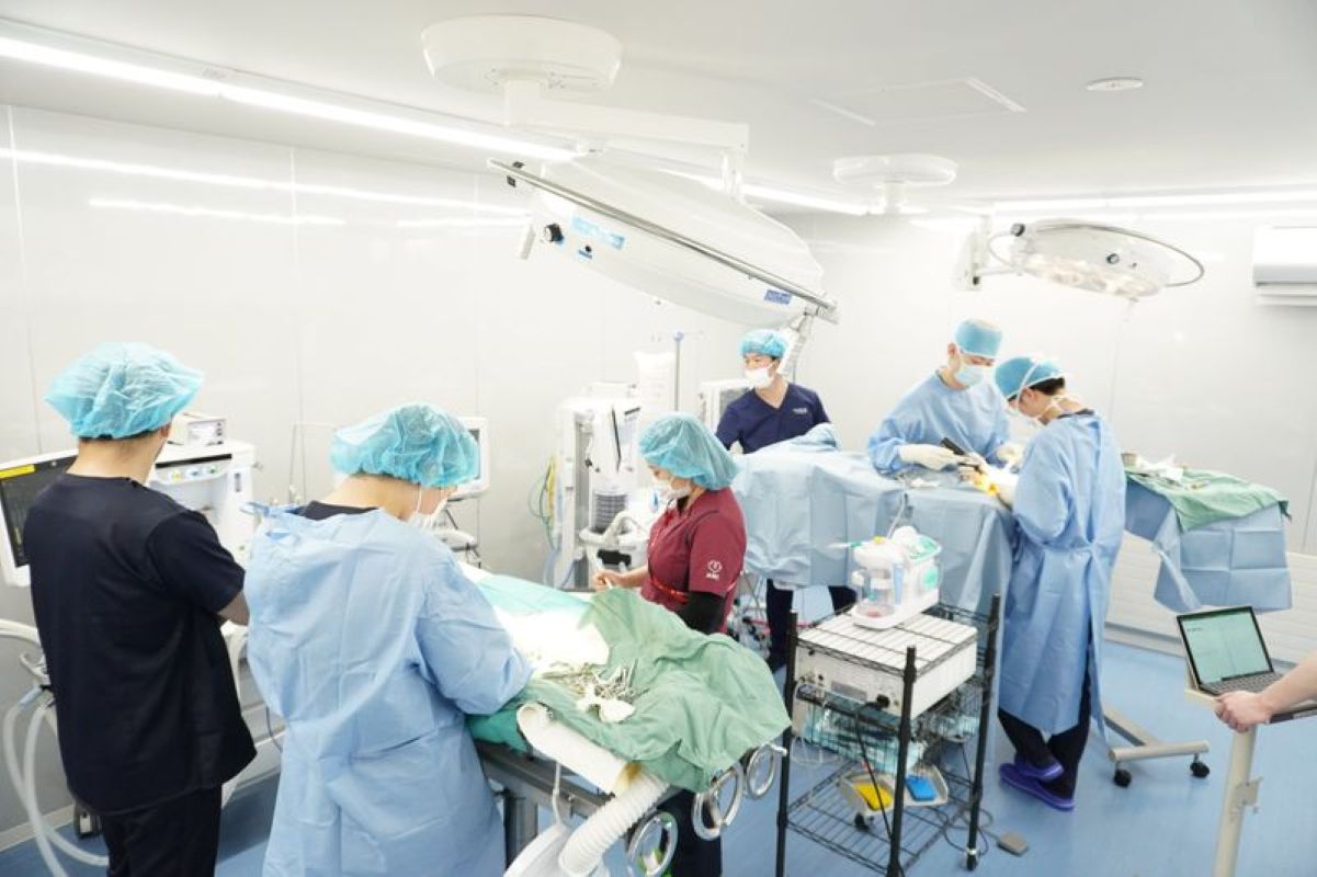 Images アイリス動物医療センター