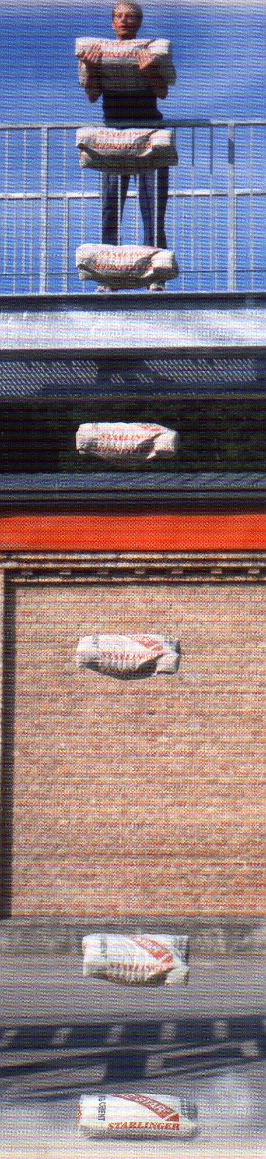 Sack Agency - Trading GmbH, Brunnenweg 24 in Gmunden