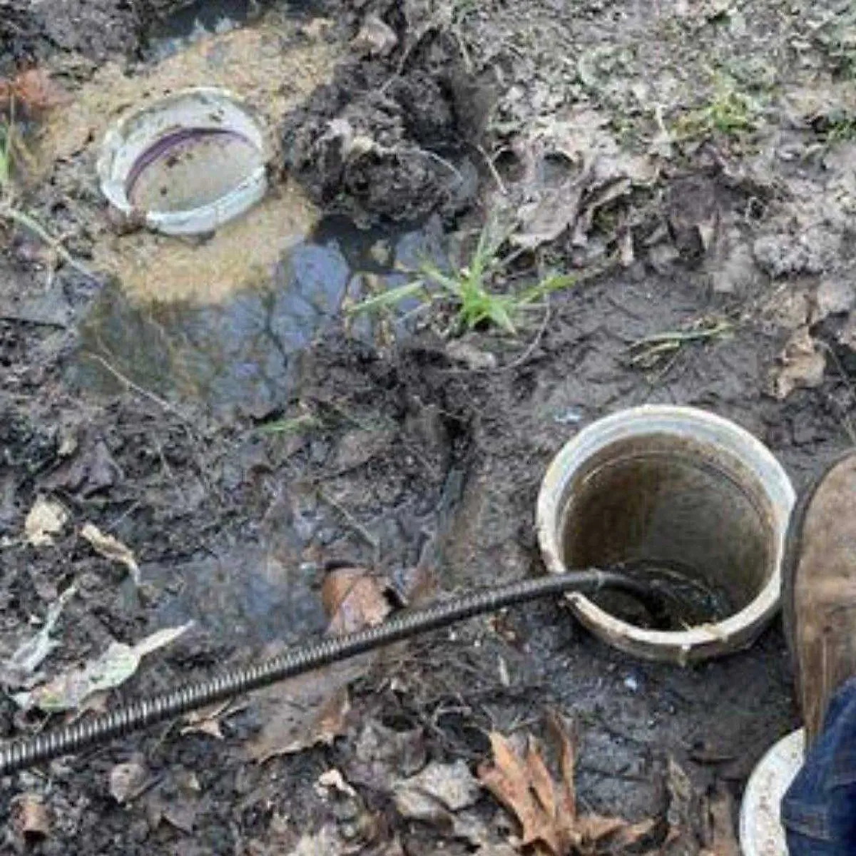 A close-up shot of two open pipes in muddy, leaf-covered ground. A drain snake is inserted into the pipe on the right. The pipe on the left is partially filled with murky water and sediment. The scene appears to be outdoors, possibly during or after rain, suggesting a plumbing or drainage issue.