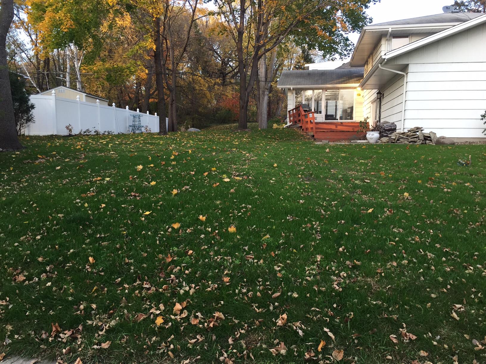 Lawn Doctor