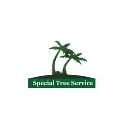 Special Tree Service