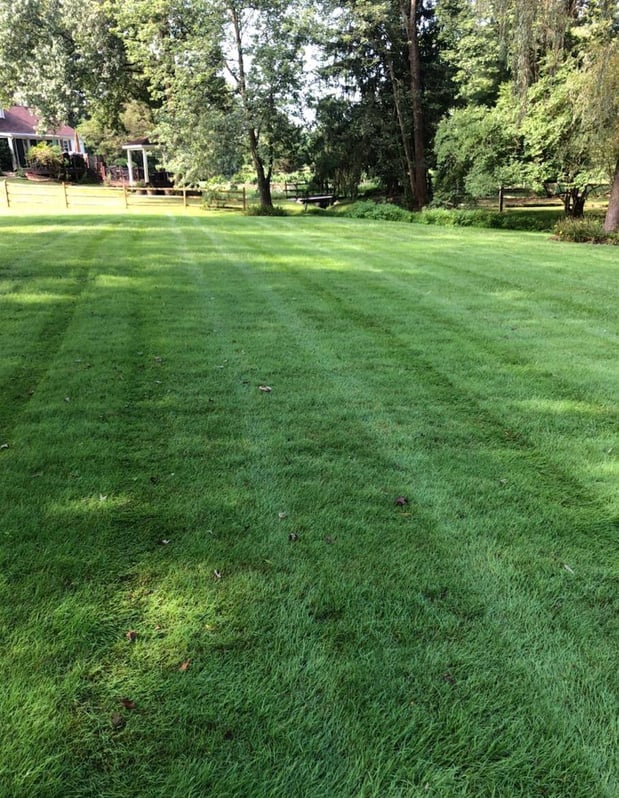 Images Delaware Valley Turf