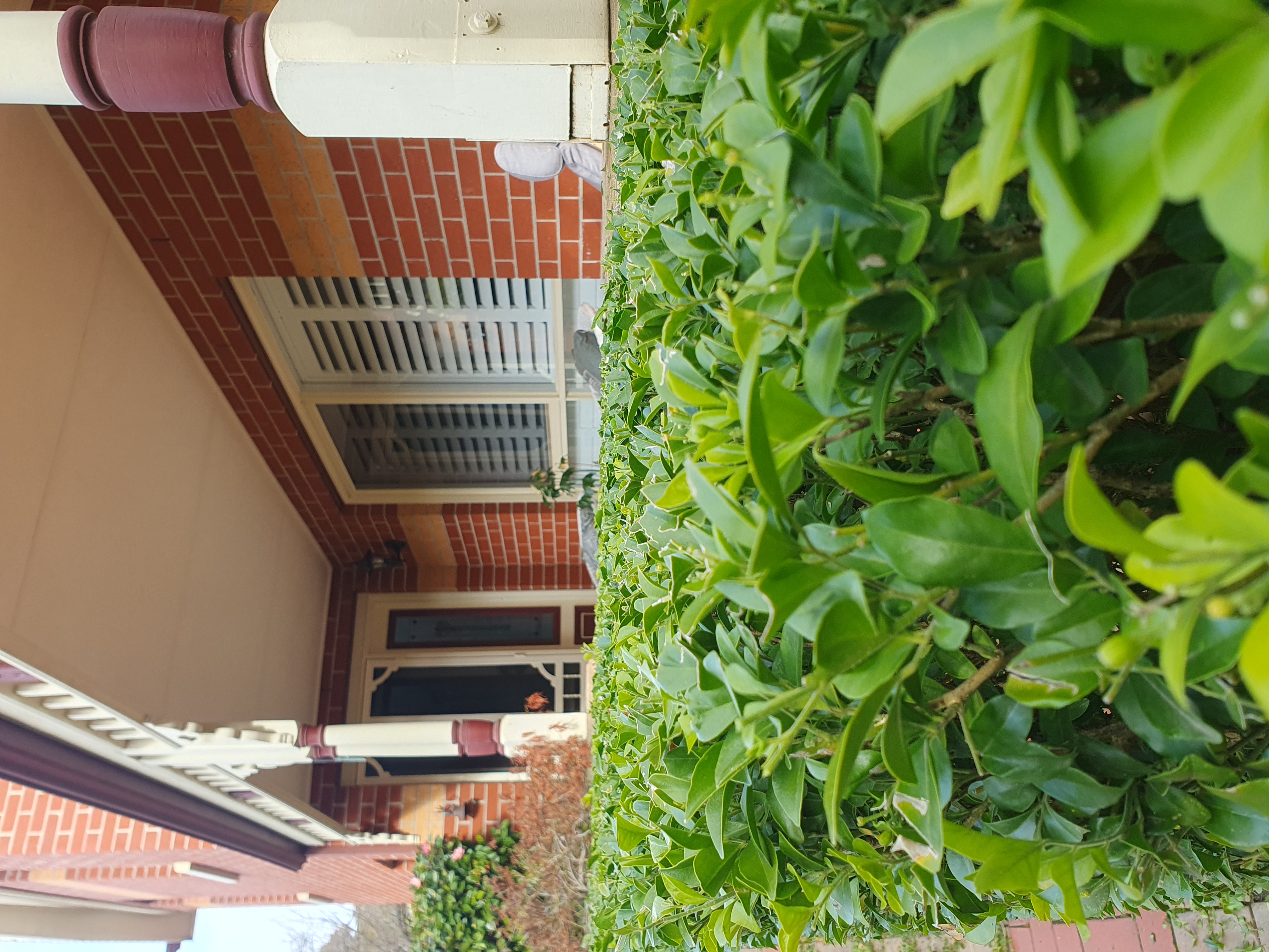 Images Dale's Property Maintenance (DPM)