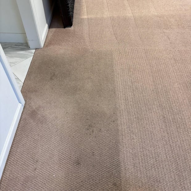 Images Renew Cleaning Services