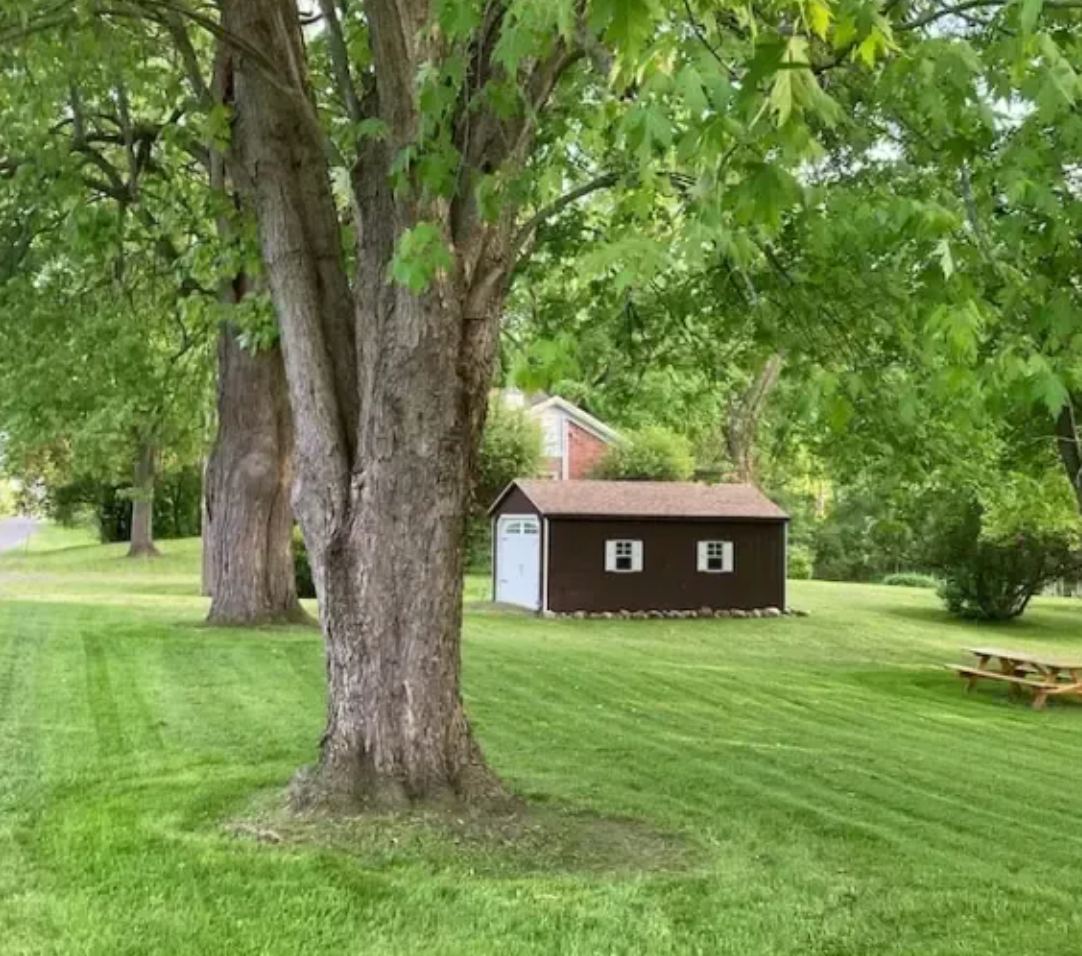 Meticulously mowed residential backyard lawn featuring immaculate diagonal mowing stripes. This highlights our routine lawn maintenance and precision striping around backyard structures and mature trees in the Geneva, NY area by JB Lawncare Services.