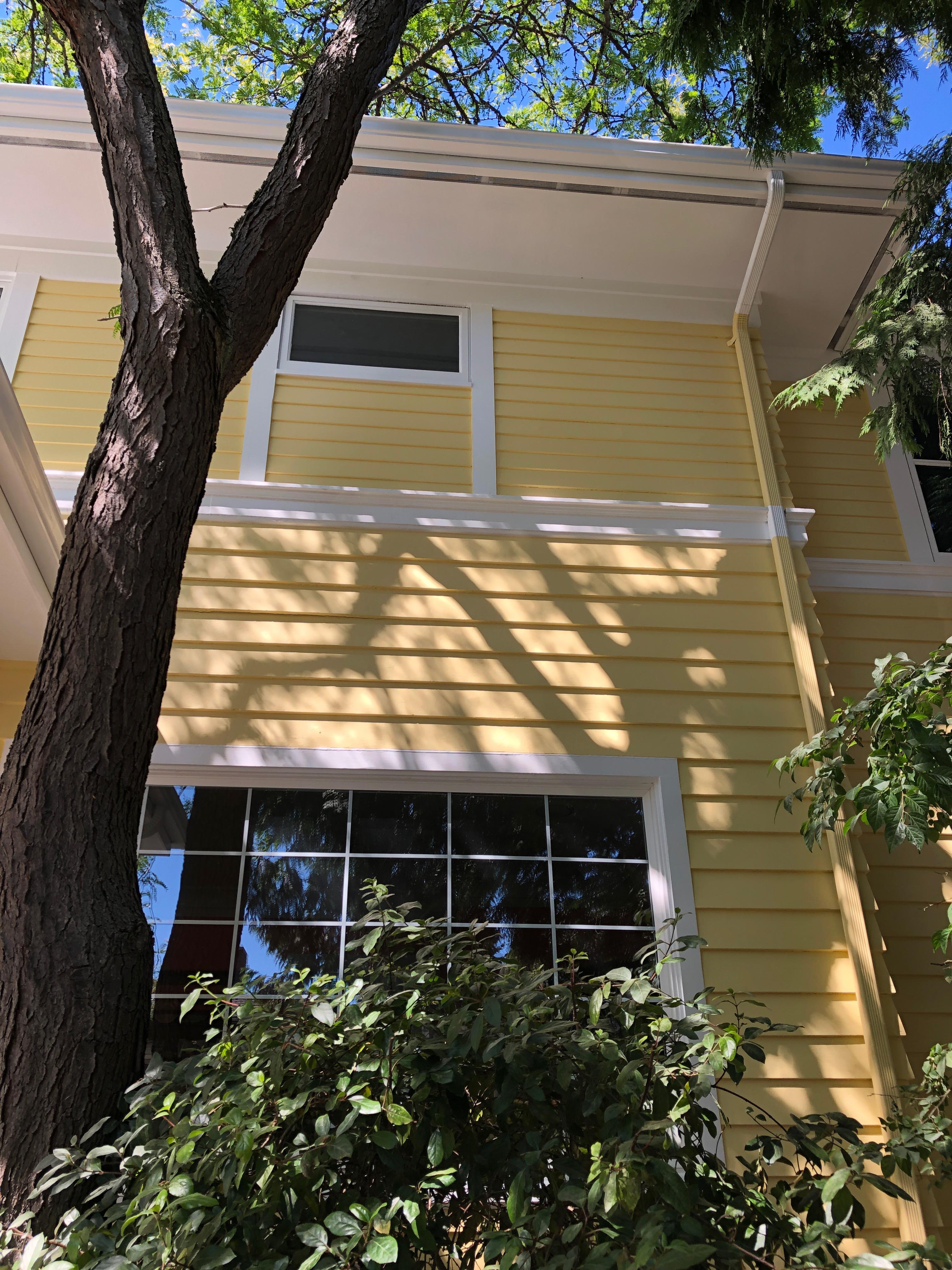 Versatile Painting Company Inc. Photo