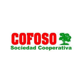 Cofoso S.C.Astur Logo