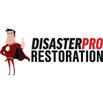 Disaster Pro Restoration Logo