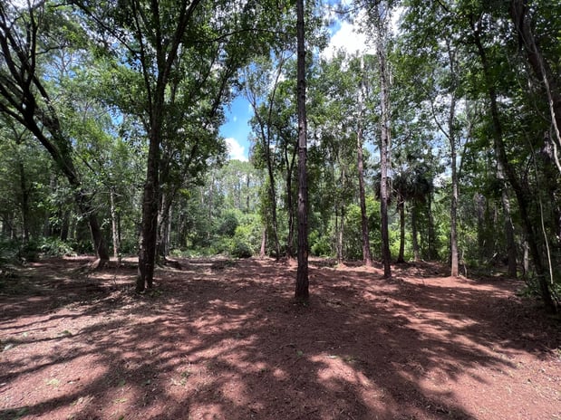 Images Stealth Mulching - Forestry Mulching & Land Development