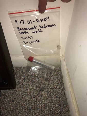 Images Rex Environmental