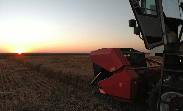 Images Southwest Seed Research LLC