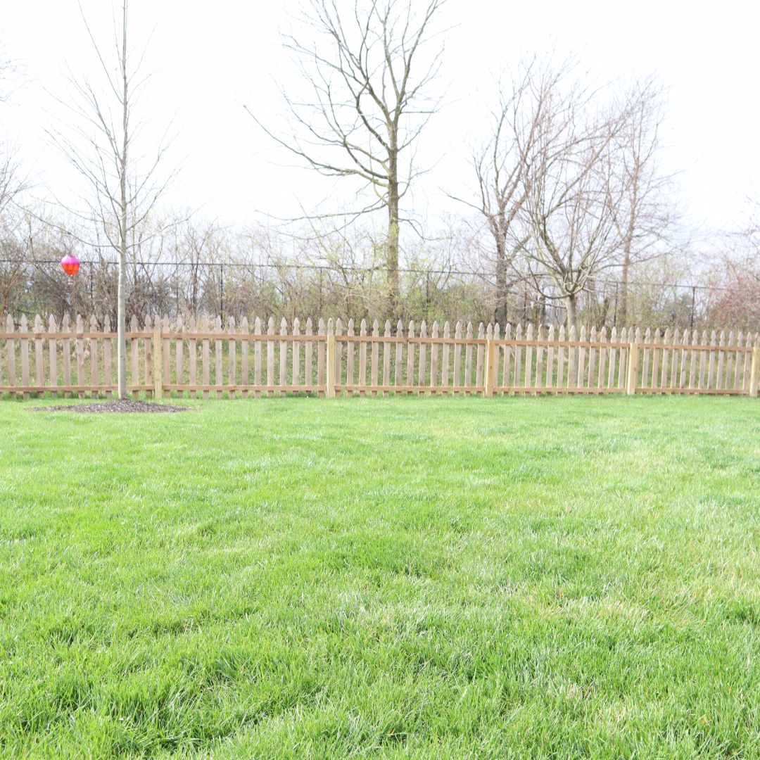 Blue Duck Lawn Care Image