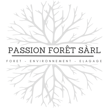 Passion Forêt Sàrl Logo