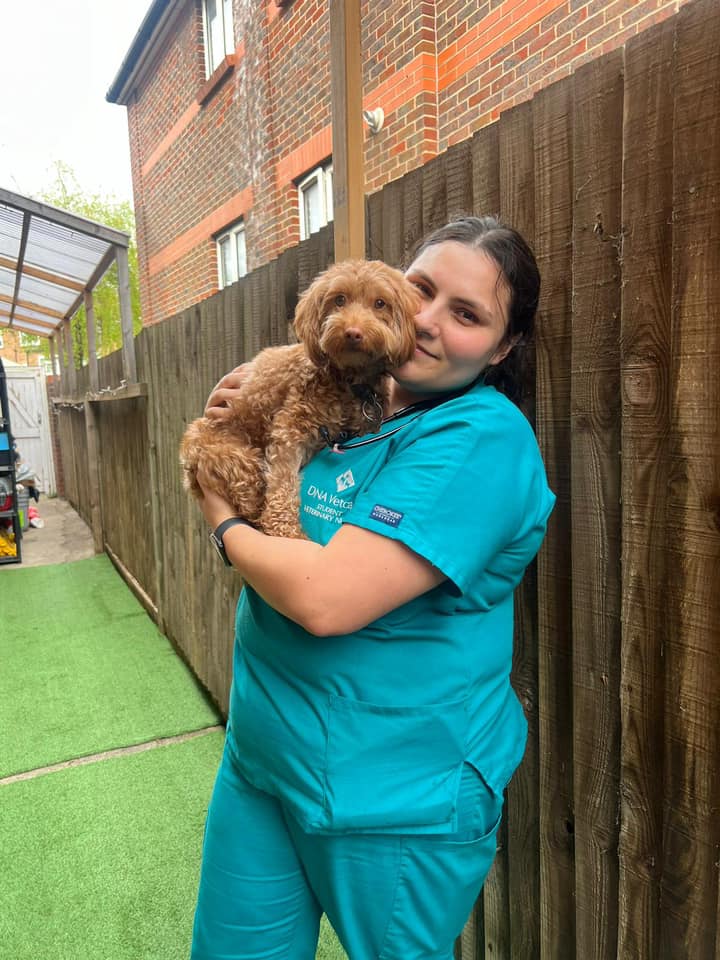 Images Streatham Hill Veterinary Surgery