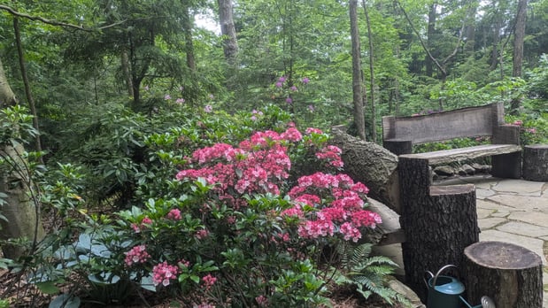 Images Impact Landscaping