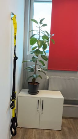 Bilder BWT - Berufliche Weiterbildung & Training