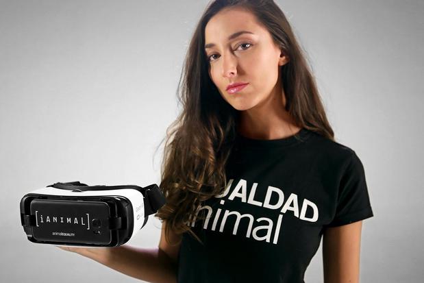 Images Animal Equality