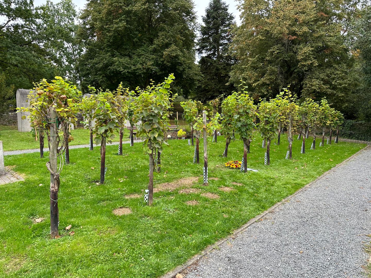 Bestattungshaus Palm-Hoppe, Niederhutstr. 15 in Bad Neuenahr-Ahrweiler