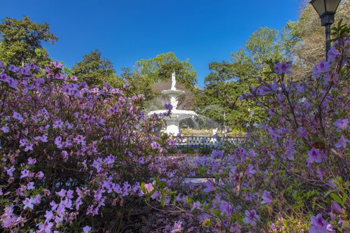 Living in Savannah - Forsyth Park