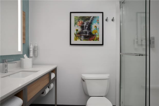 Images Hilton Garden Inn Atlanta West/Lithia Springs