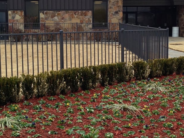 Images Buzz Custom Fence - Fort Worth