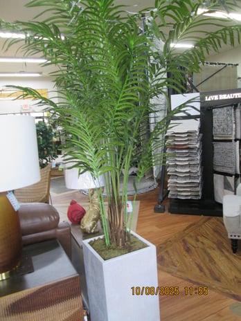 Images Foxy Rug & Furniture Galleria