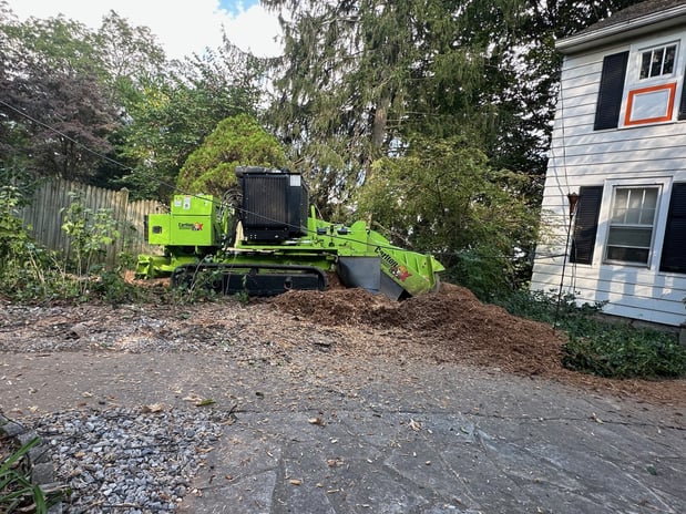 Images O'Brien Outdoors Tree Service