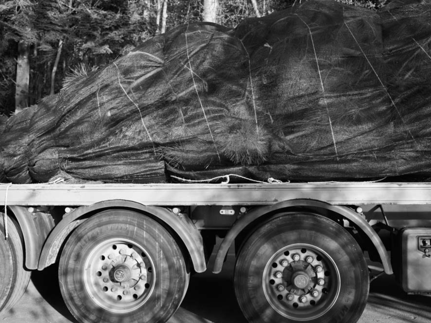 Select Garten GmbH, Im Chapf 11 in Erlenbach ZH