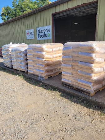 Images Holt's Feed Store