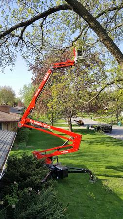 Images Twin City Tree Service